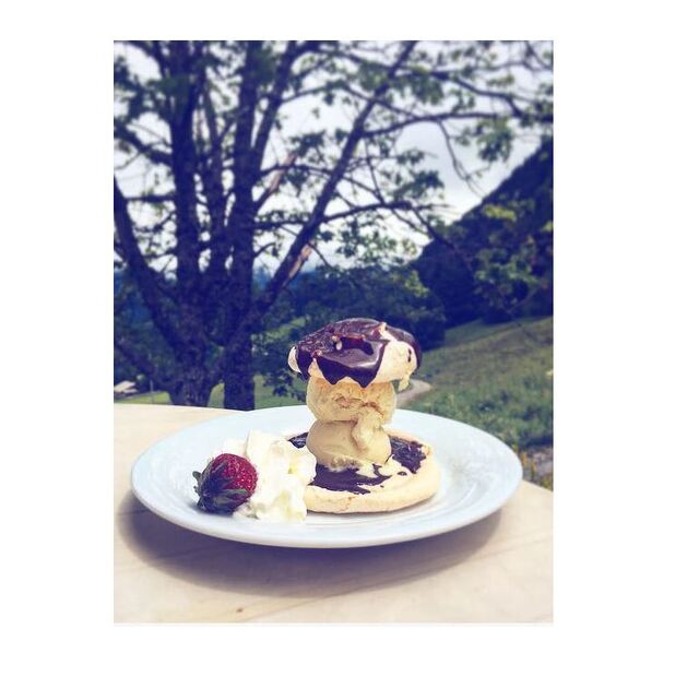 Venez déguster nos bons et beaux Bolets de Plan Bois...