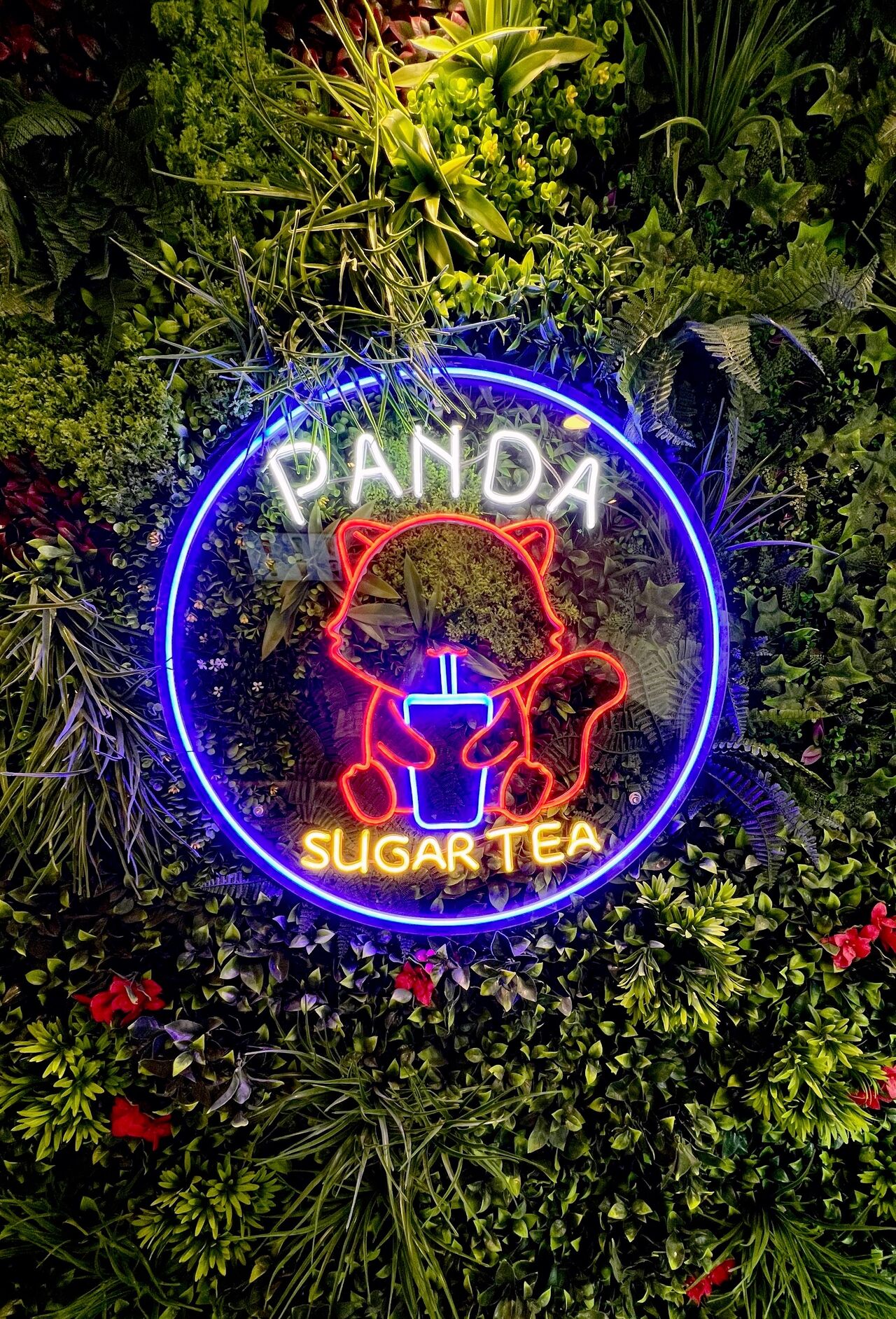 panda-sugar-tea-amiens-asian-cuisine-near-me