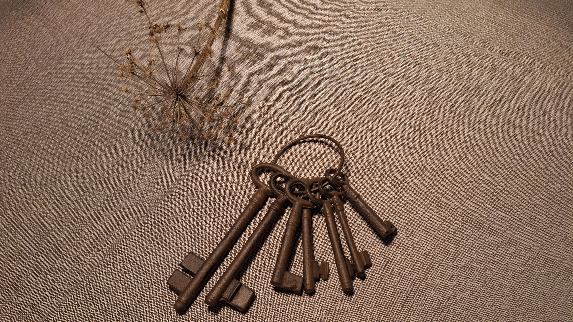 Check in / Check out