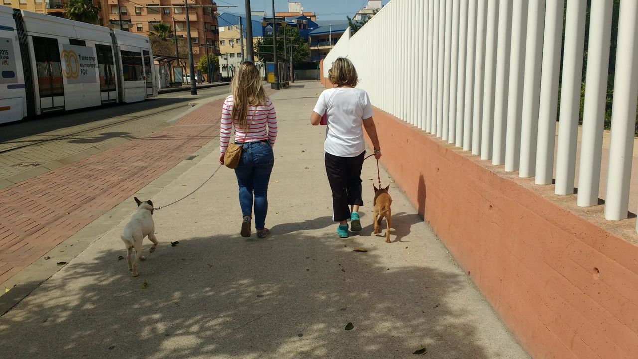 Paseamos y ellos lo disfrutan