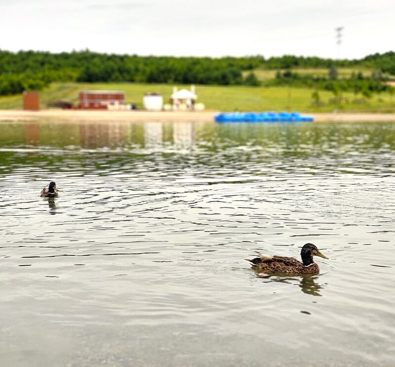 Jezero Milada se nacházi mezi Teplicemi a Ústí nad Labem, kousek od Chabařovic nebo Krupky