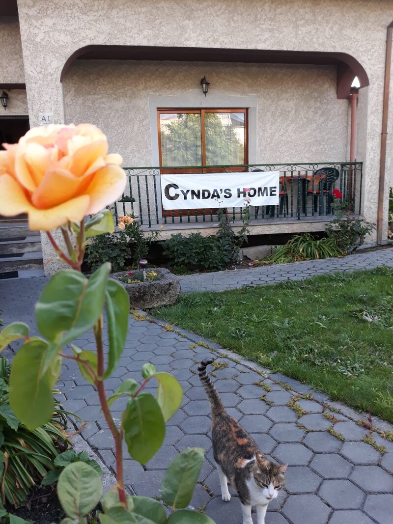 Bemvindos a Cynda´s home