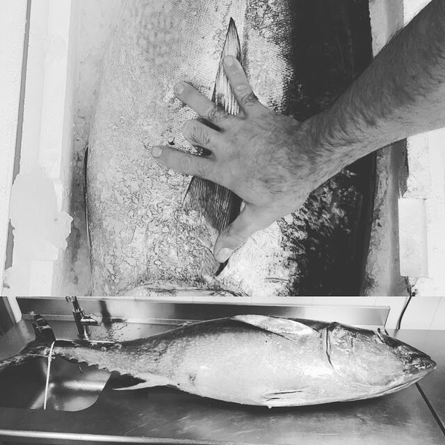 Magnifique thon rouge de 43kg (2018). A la carte uniquement l'été. Oui il y a des saisons pour les poissons aussi.