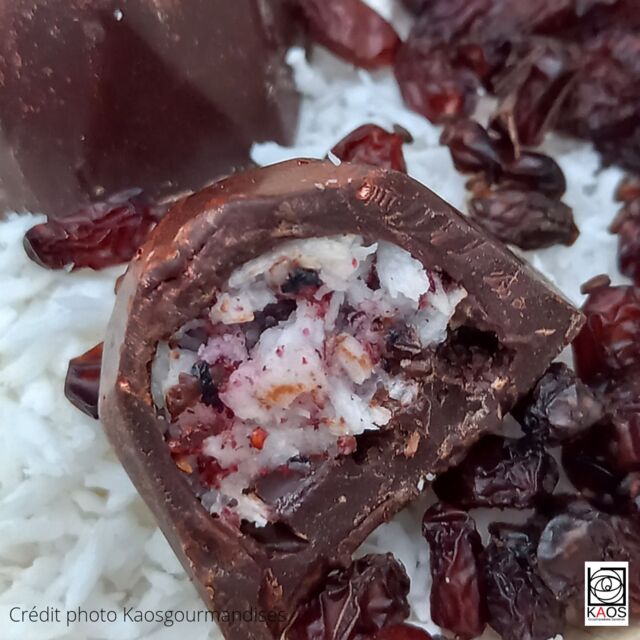 PRECIEUX : kobaie : noix de coco et baies de goji