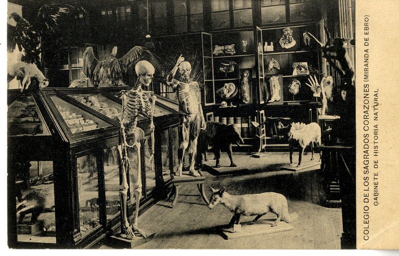 Gabinete de Historia Natural