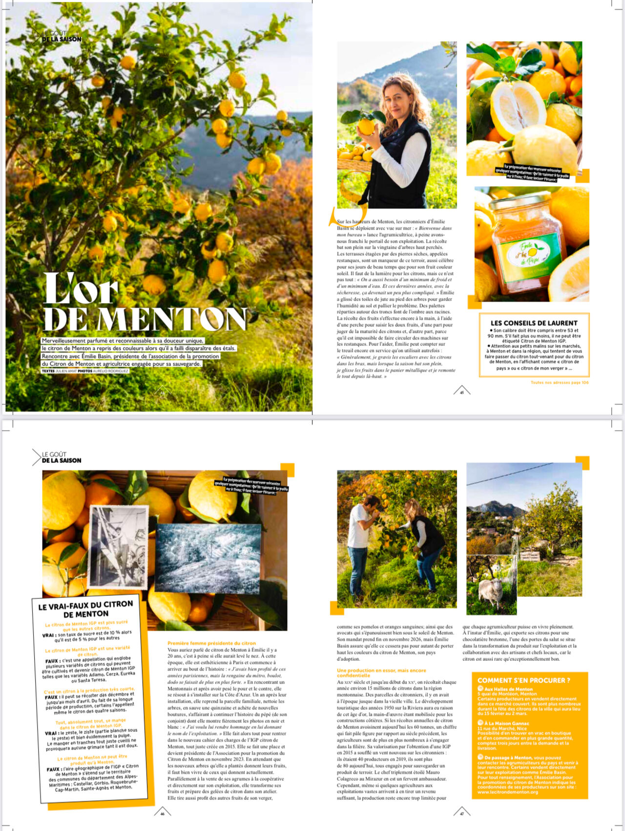 BELLE VISITE AU VERGER