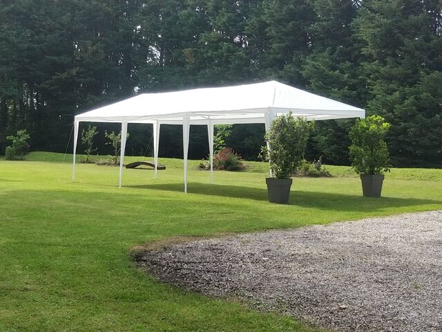 Vin d'honneur couvert au vert