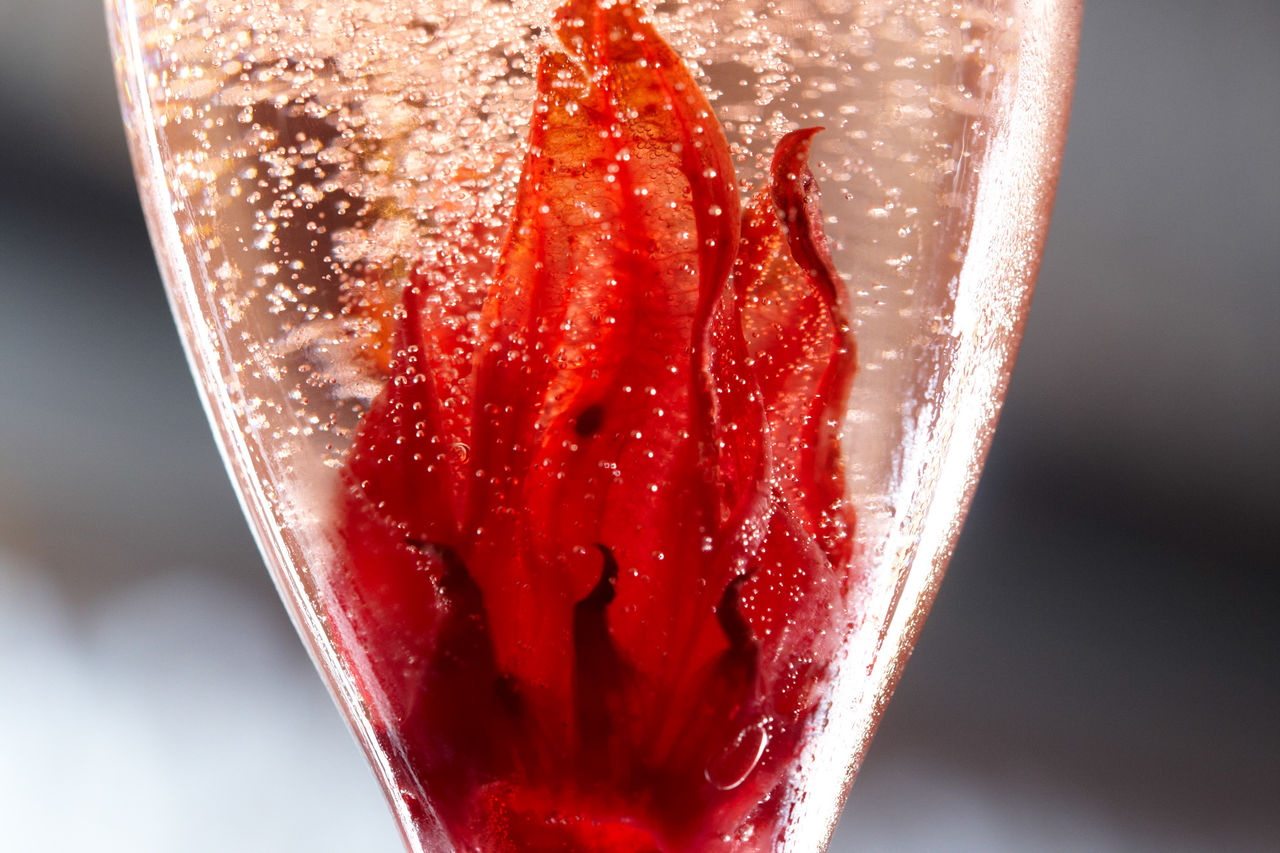 Jeden Freitag ab.14 Nov. PUNSCHHÜTTE!!!!