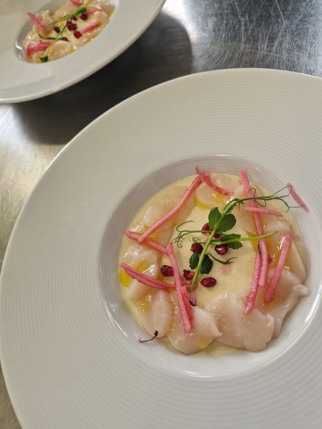 Carpaccio de Saint-Jacques et panna cotta de céleri 