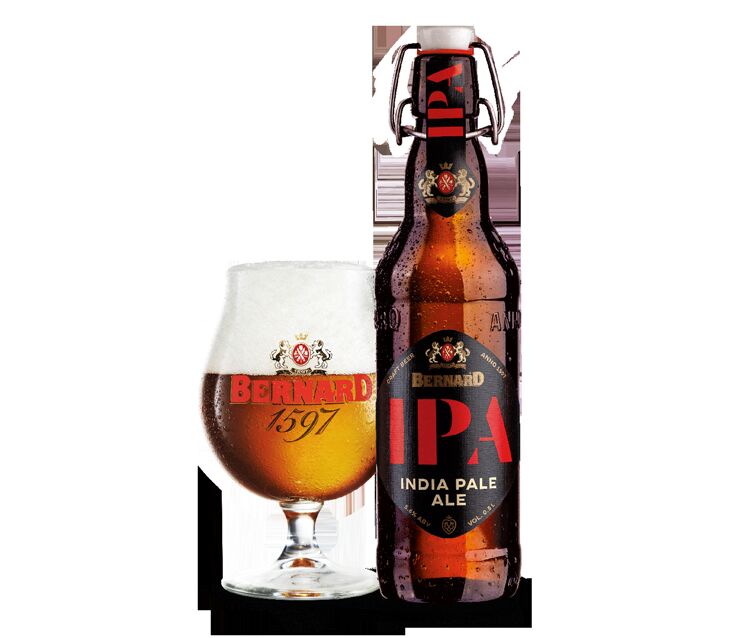 Bernard IPA (India Pale Ale)