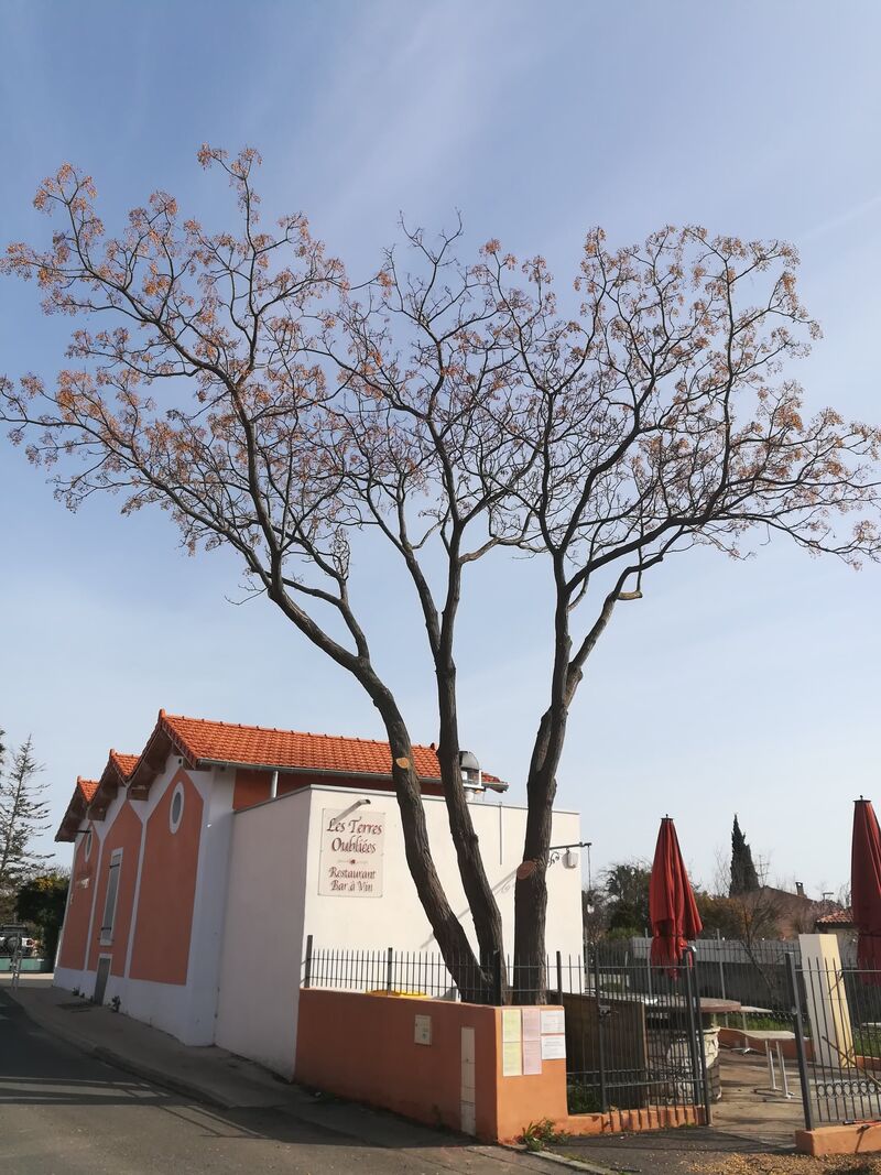 le restaurant l'ancienne gare 