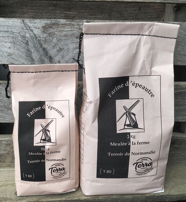 Farine épautre - Terra Grains