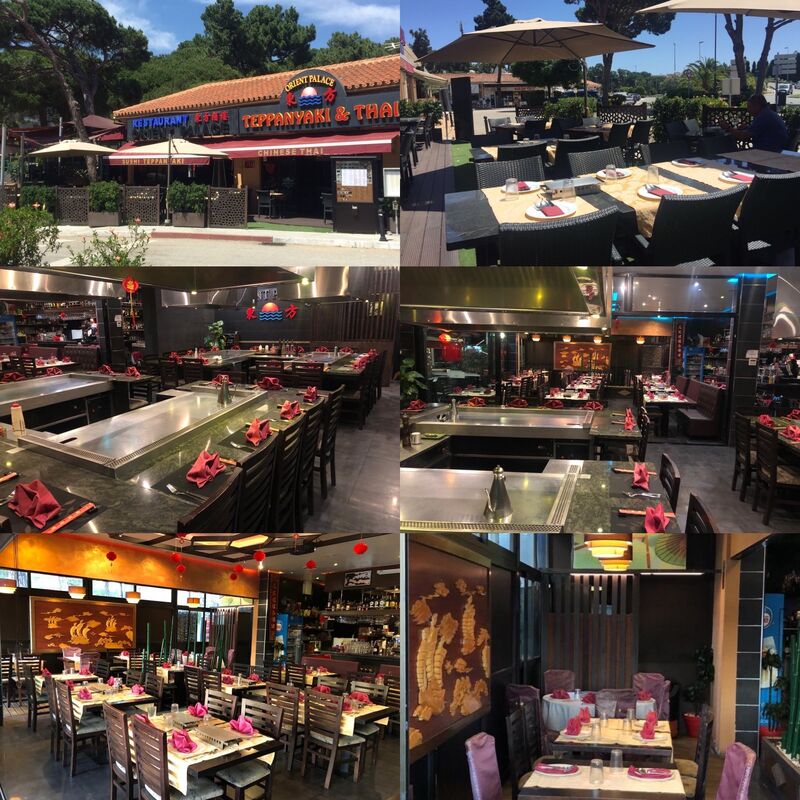 RESTAURANTE ORIENT PALACE TEPPANYAKI (Elviria- Marbella)
TEL. RESERVA: 952836323
email: orientpalacerestaurant@gmail.com