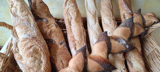Baguette pointue (pavot et au sésame)
Baguette graines
Baguette campagne
Baguette épeautre
Baguette tradition
Epi au pavot