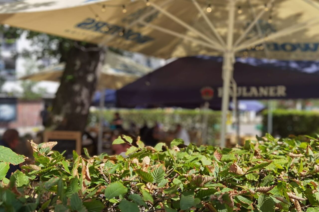 Biergarten
