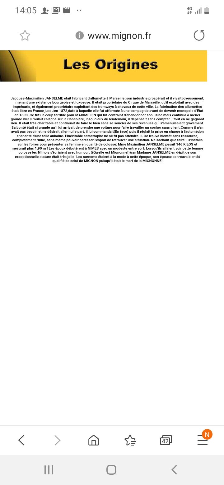 Historique des confiseries mignon 