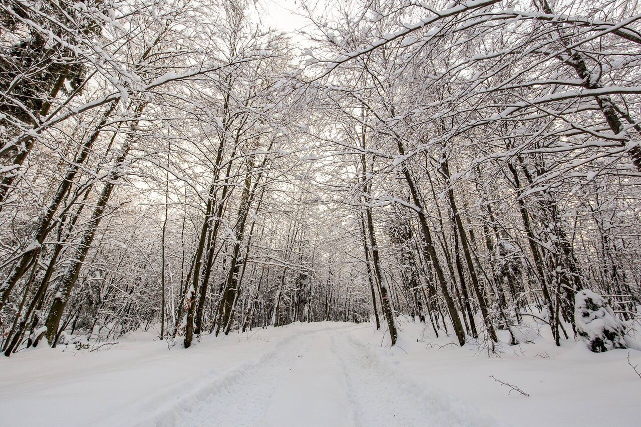 Veselimo se Vašem dolasku!