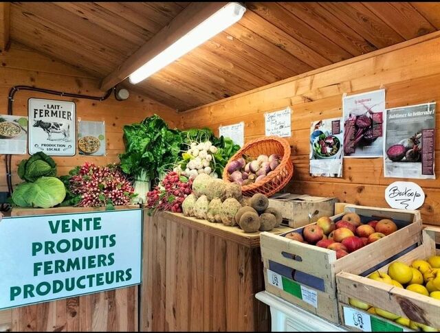 Maxime Lucas - Disponible selon la saison