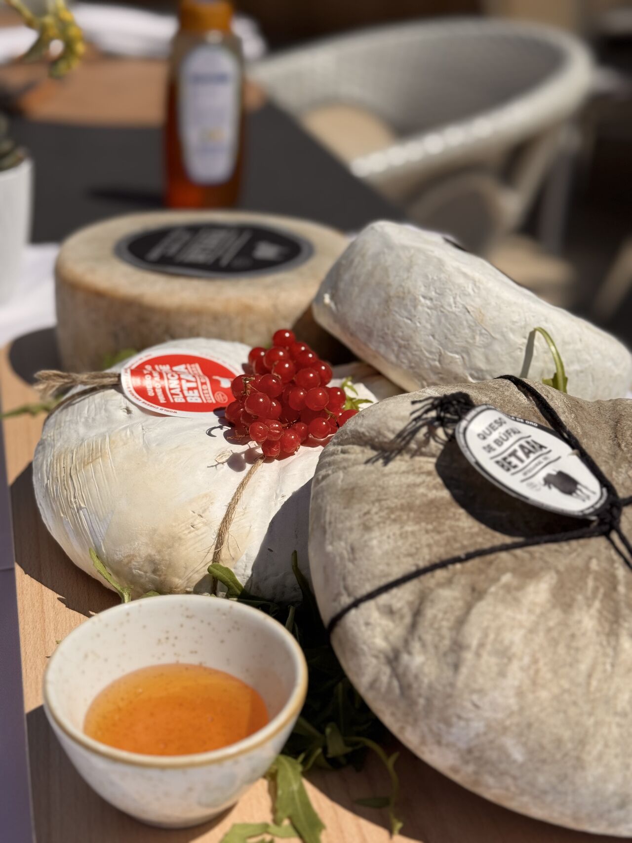 Selección de quesos gourmet 
