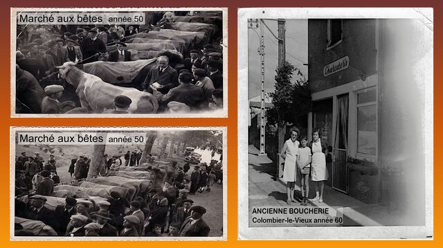 Colombier-le-Vieux année 50 et 60