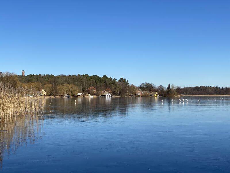 Der paradiesische Krakower See 🥰