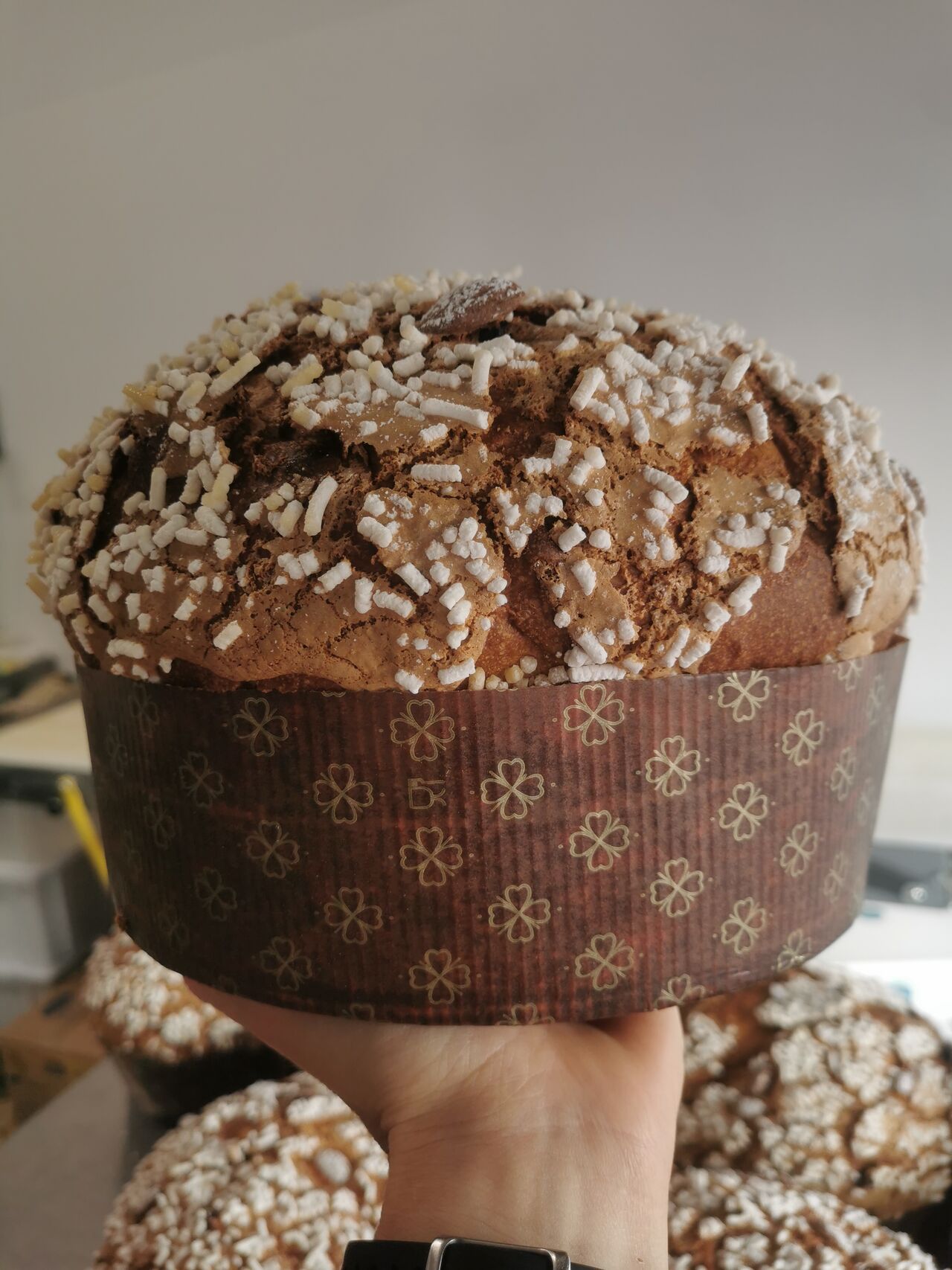 Panettone Artigianale