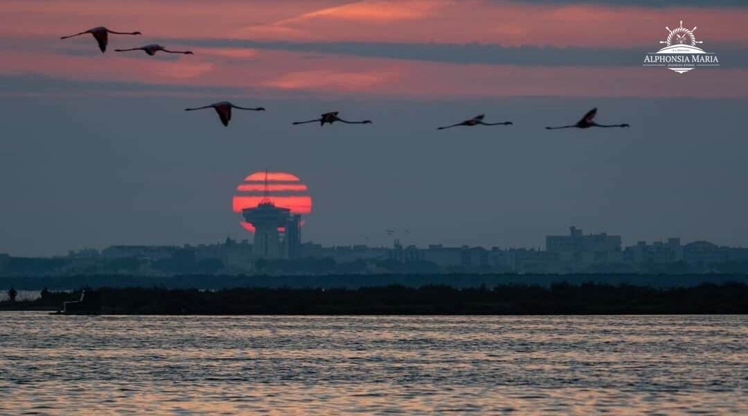 Lever du soleil sur Palavas les Flots 