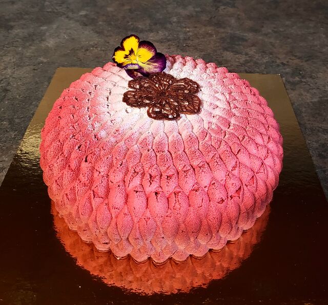 Gateau duo Chocolat dulcey et noir génoise cacao craquant à la framboise et à la rose déco velouté dégradé