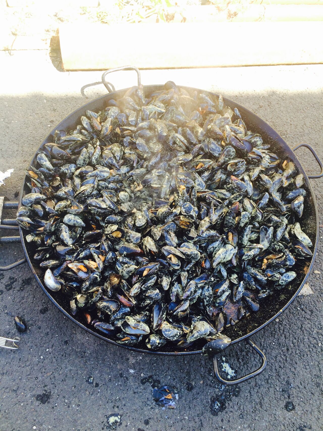 Brasucade de moules