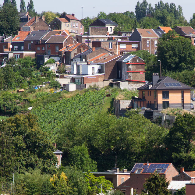 Vue panoramique sur notre vignoble