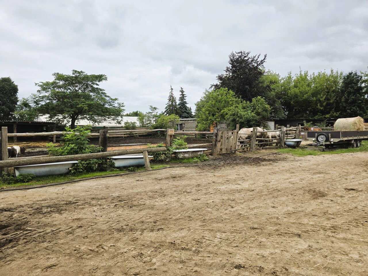 Zentrale Pferdekoppel