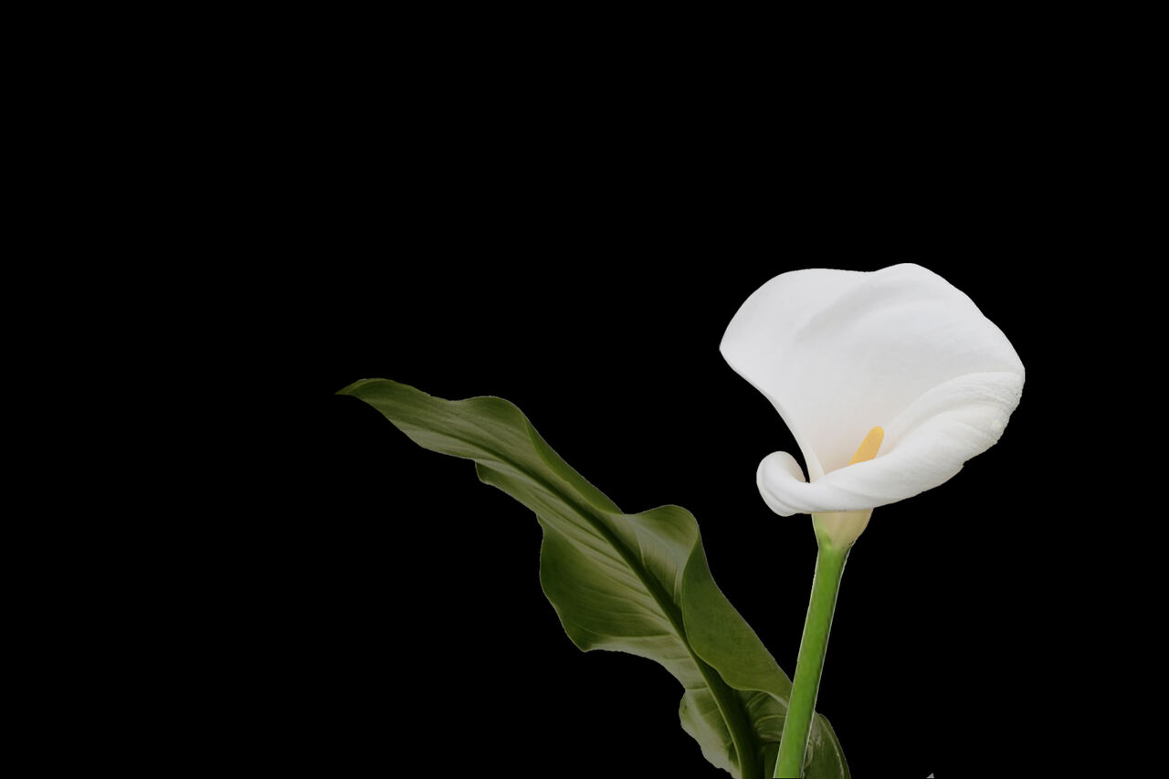 Contact réservation