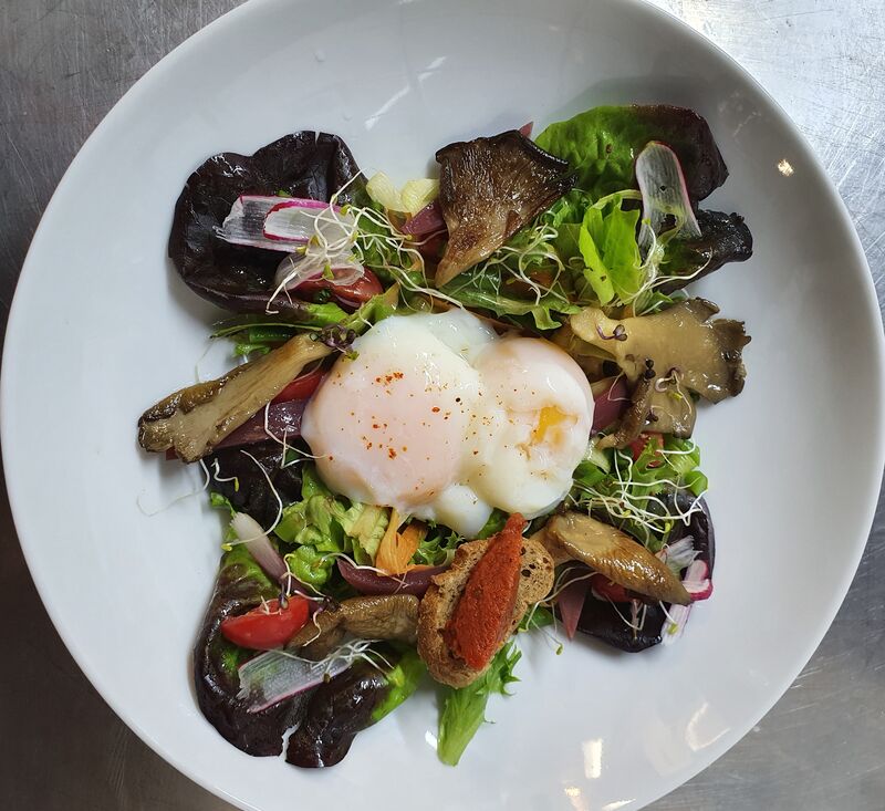 Œuf parfait BIO sur lit de salade folle et pleurotes de Seine et Marne