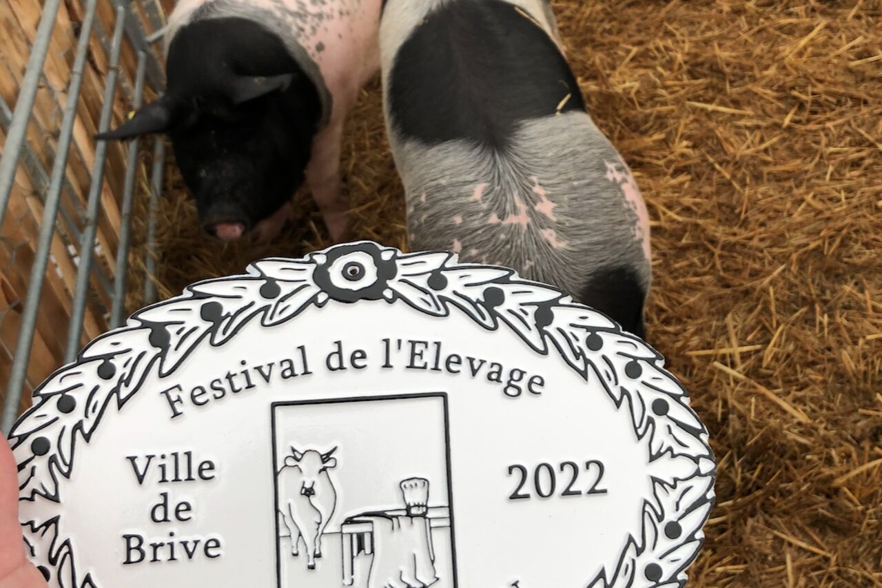 Festival de l'élevage 2022