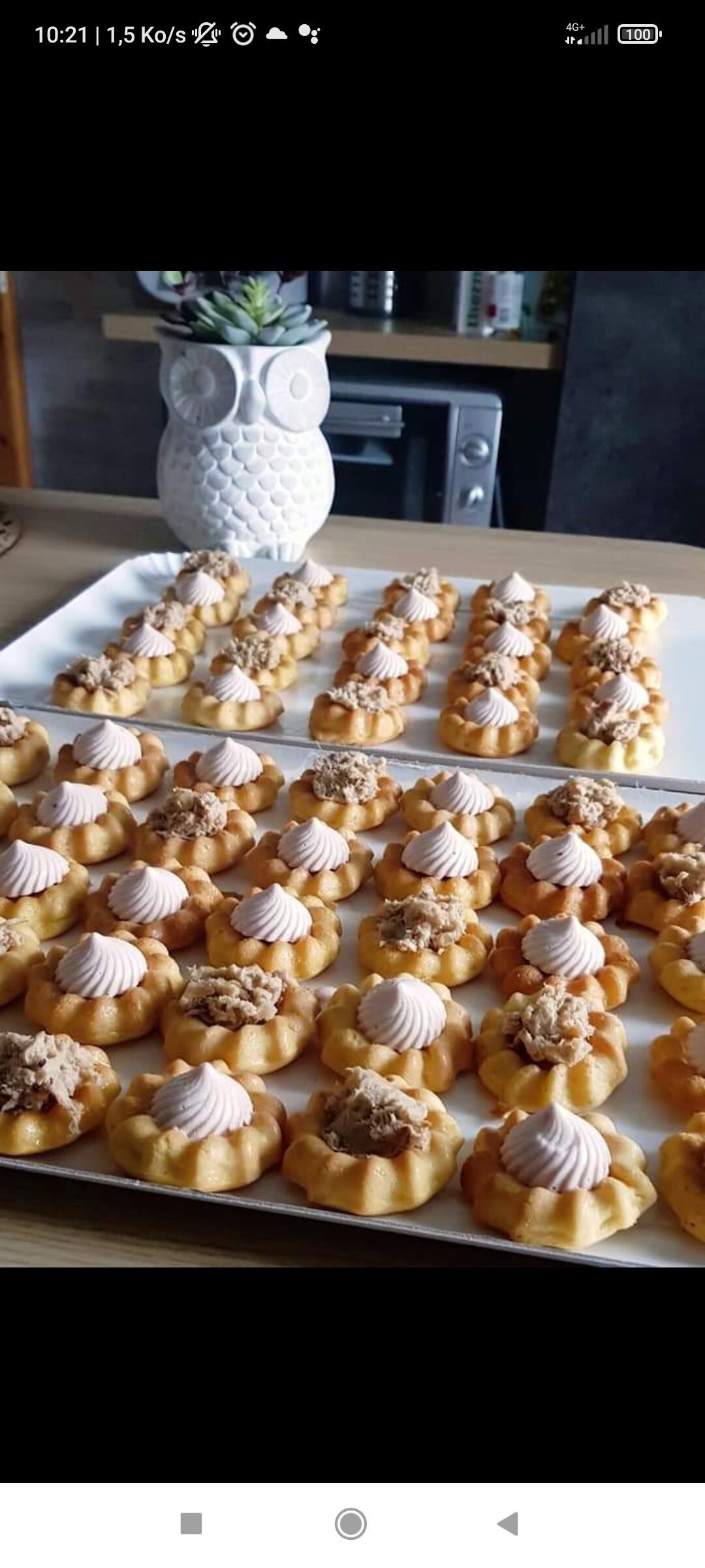 Tourbillon jambon et rillettes poulet