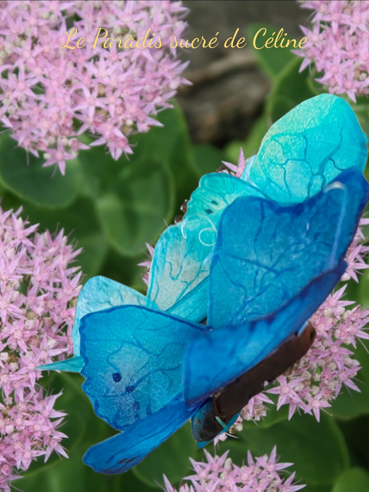 Papillon en feuille de riz , colorant alimentaire pour les effets des ailes de papillon et un chocolat plastique pour le corps .