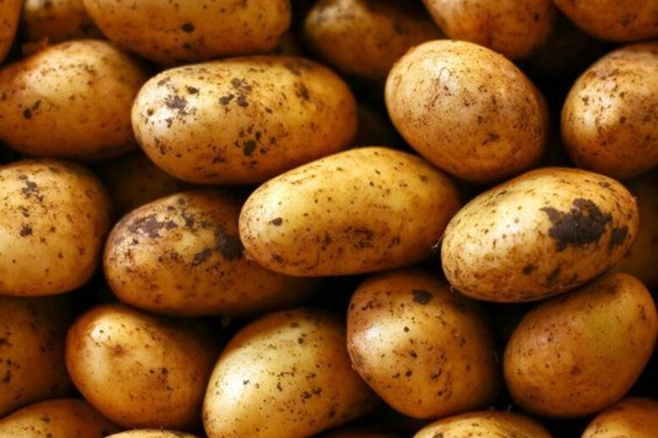 UNE PATATE D'M'IN COIN !