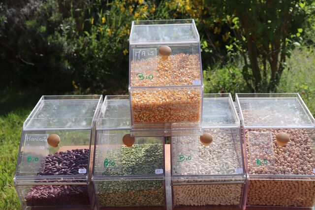 Féculents et Légumineuses