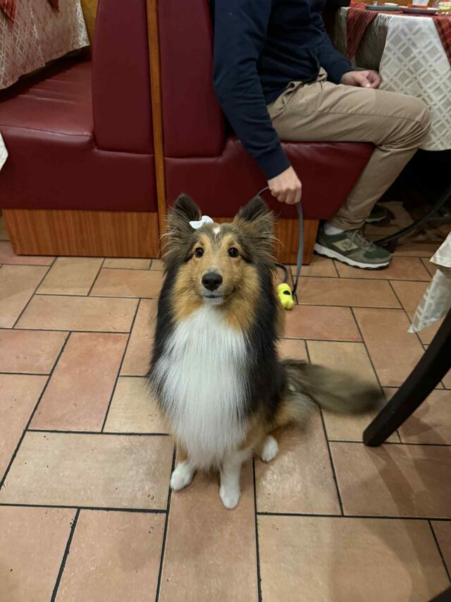 Mais uma adorável visita.