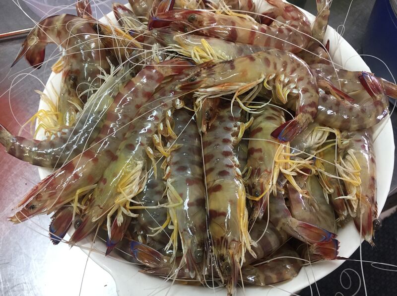 LANGOSTINOS DEL GRAO