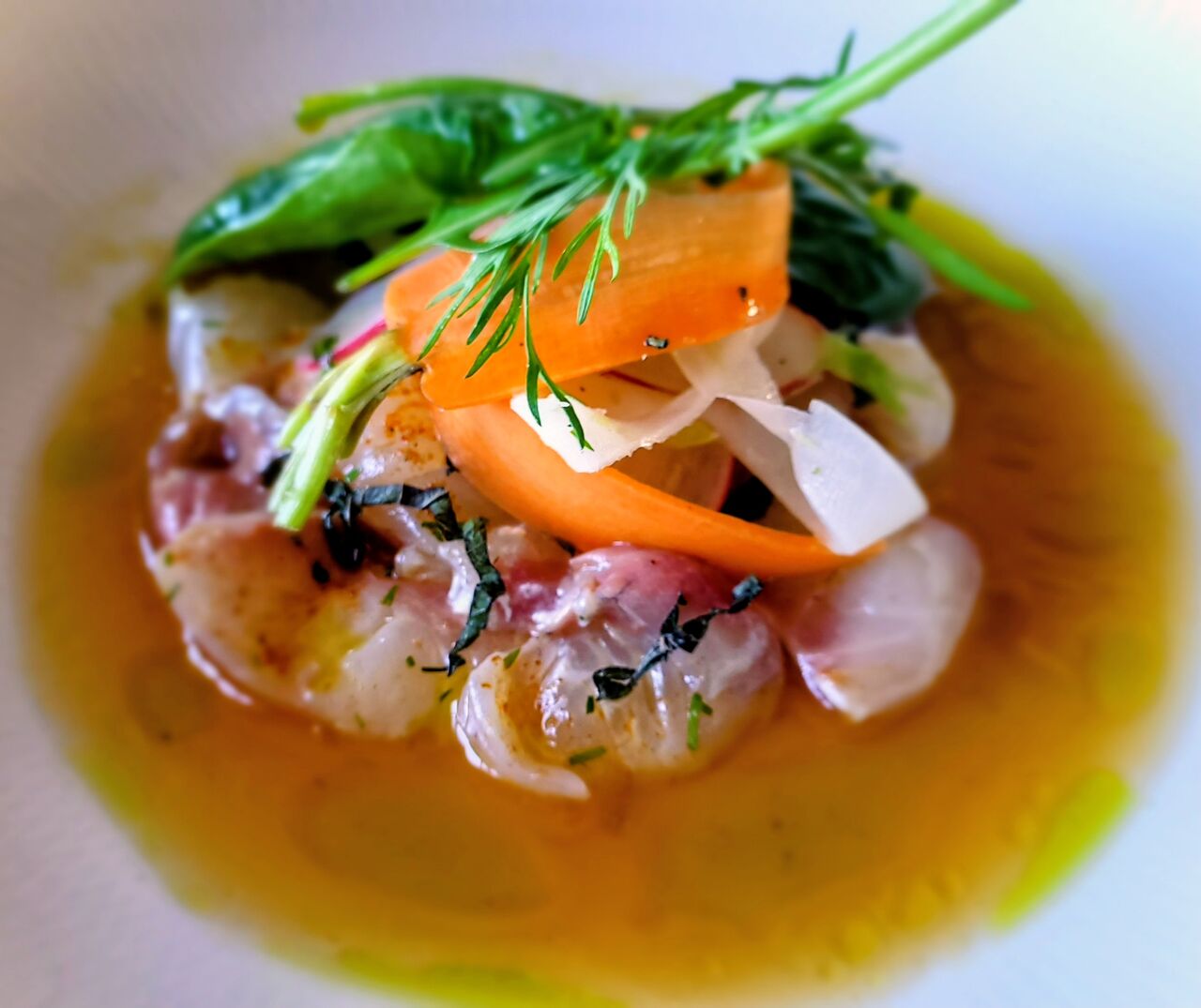 Crudo de daurade, palette printanière, consommé infusé au gingembre
