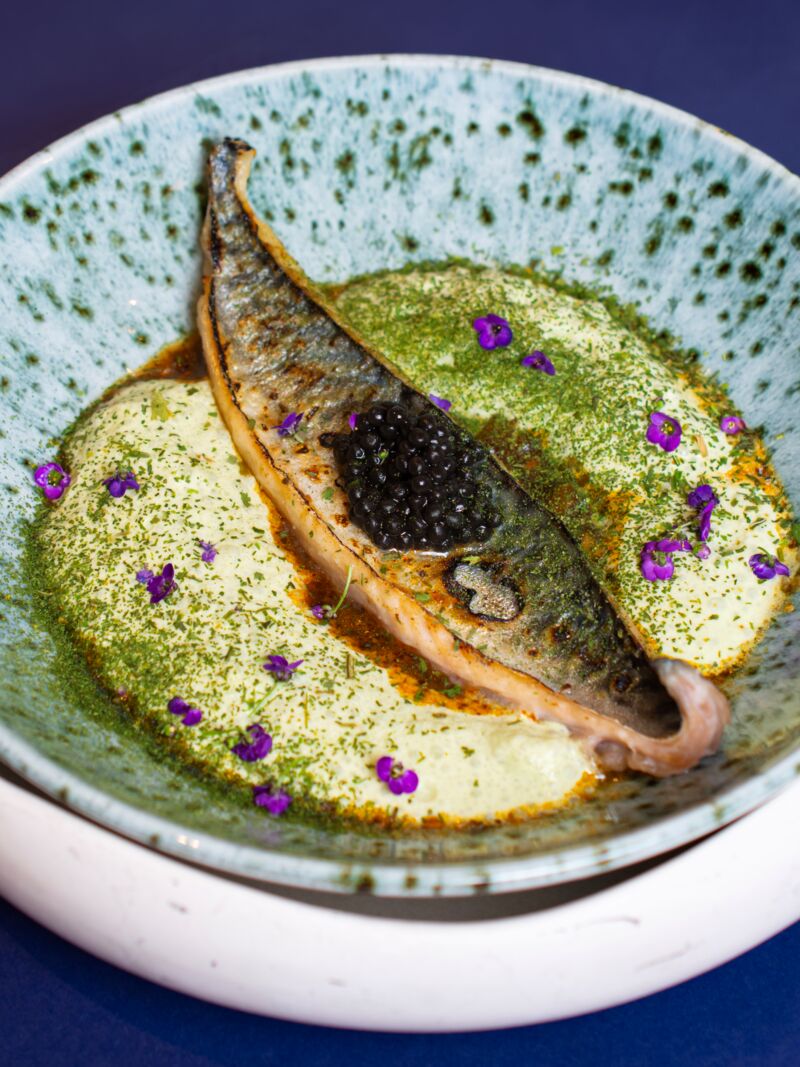 Maquereau flambé au chalumeau