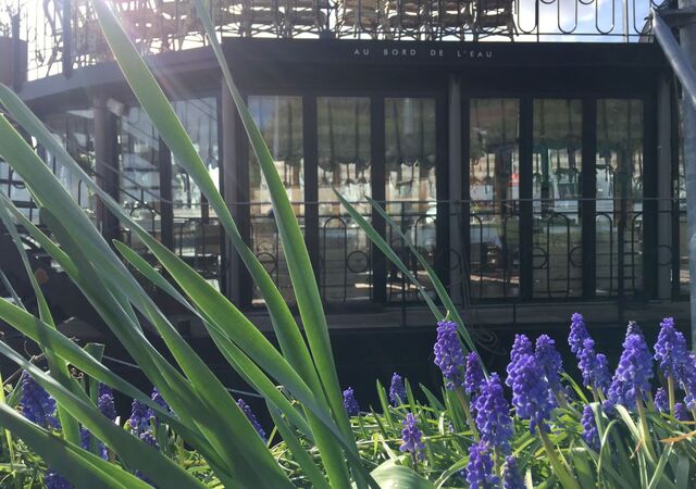 Un avant goût du printemps ...