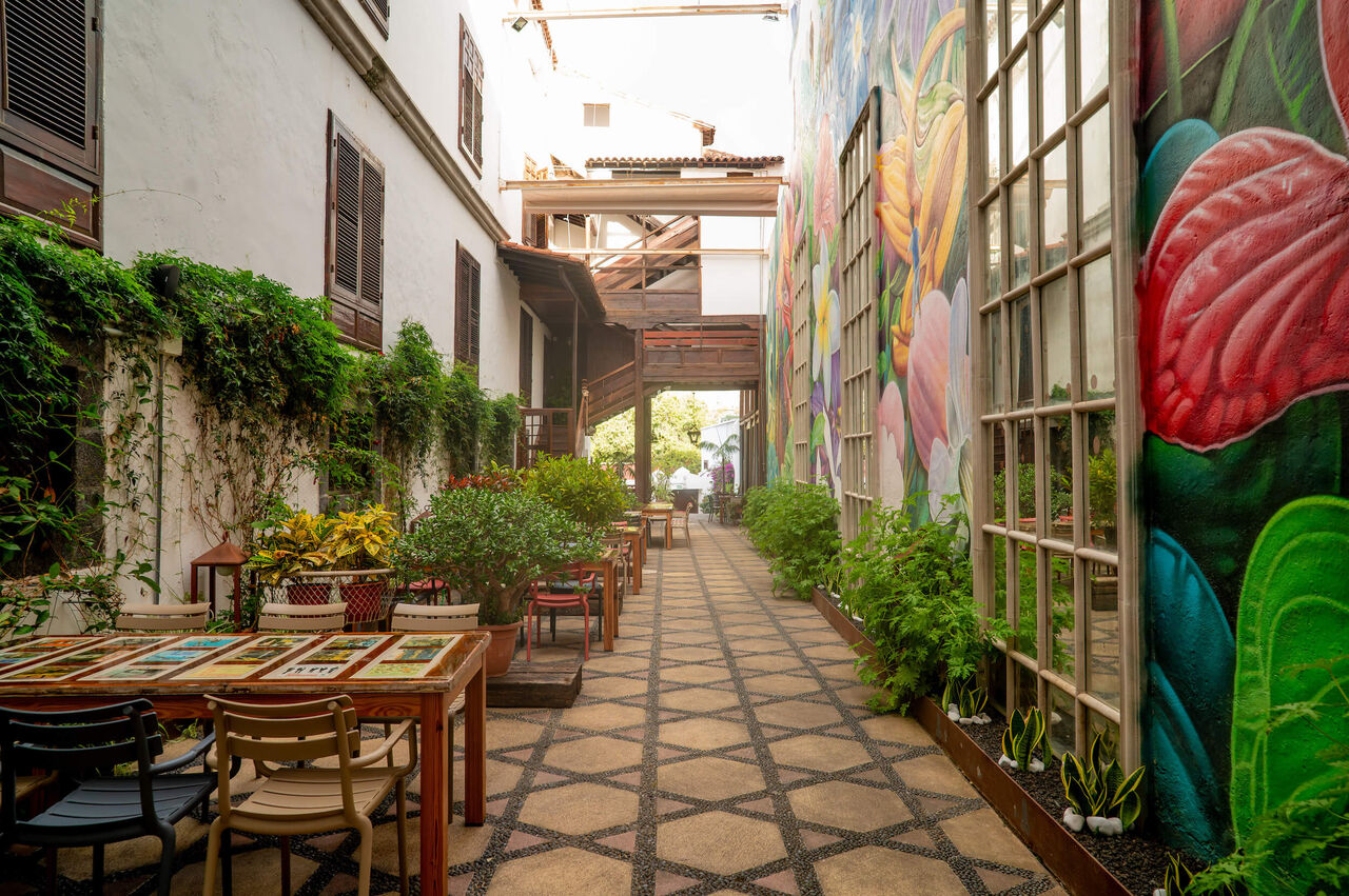 Nuestra terraza TZ14