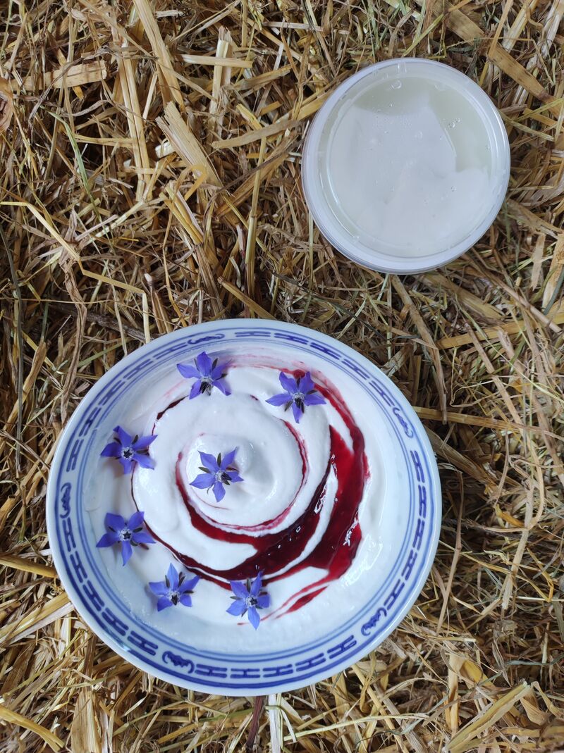 Faisselle et fromage blanc