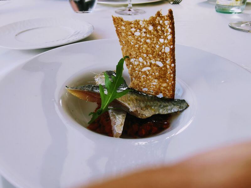 Menu degustación