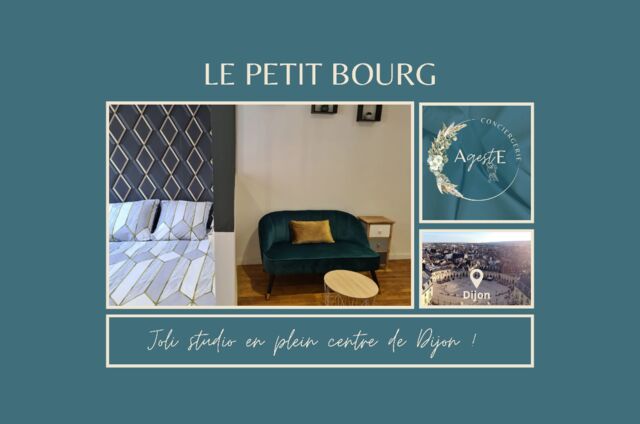 Le Petit Bourg, lumineux studio situé en plein coeur du plein centre-ville