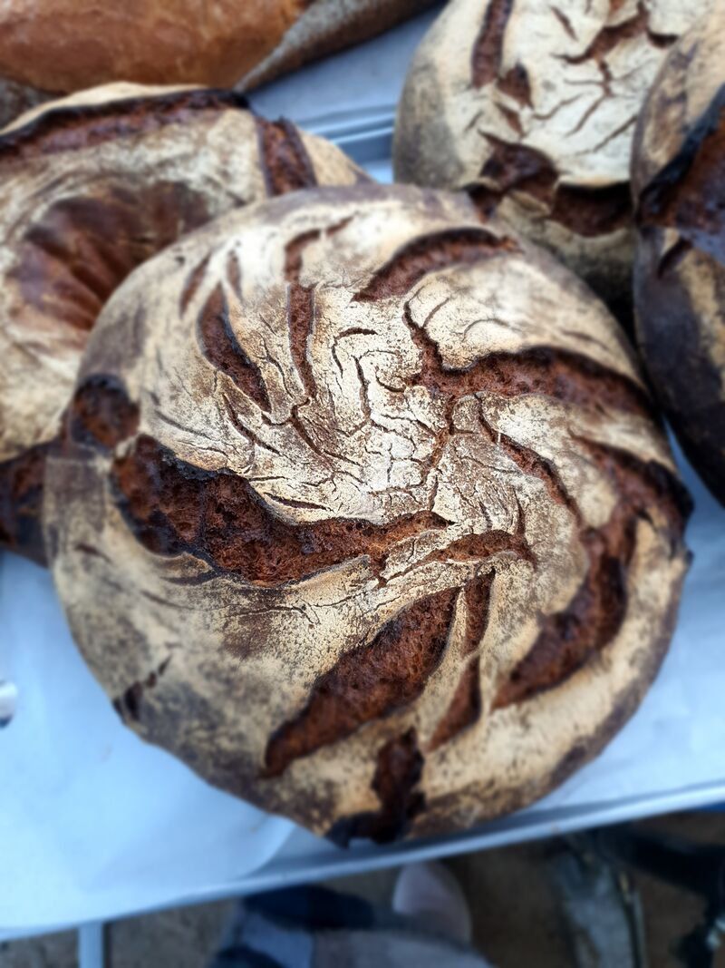 Tourte de Seigle BIO