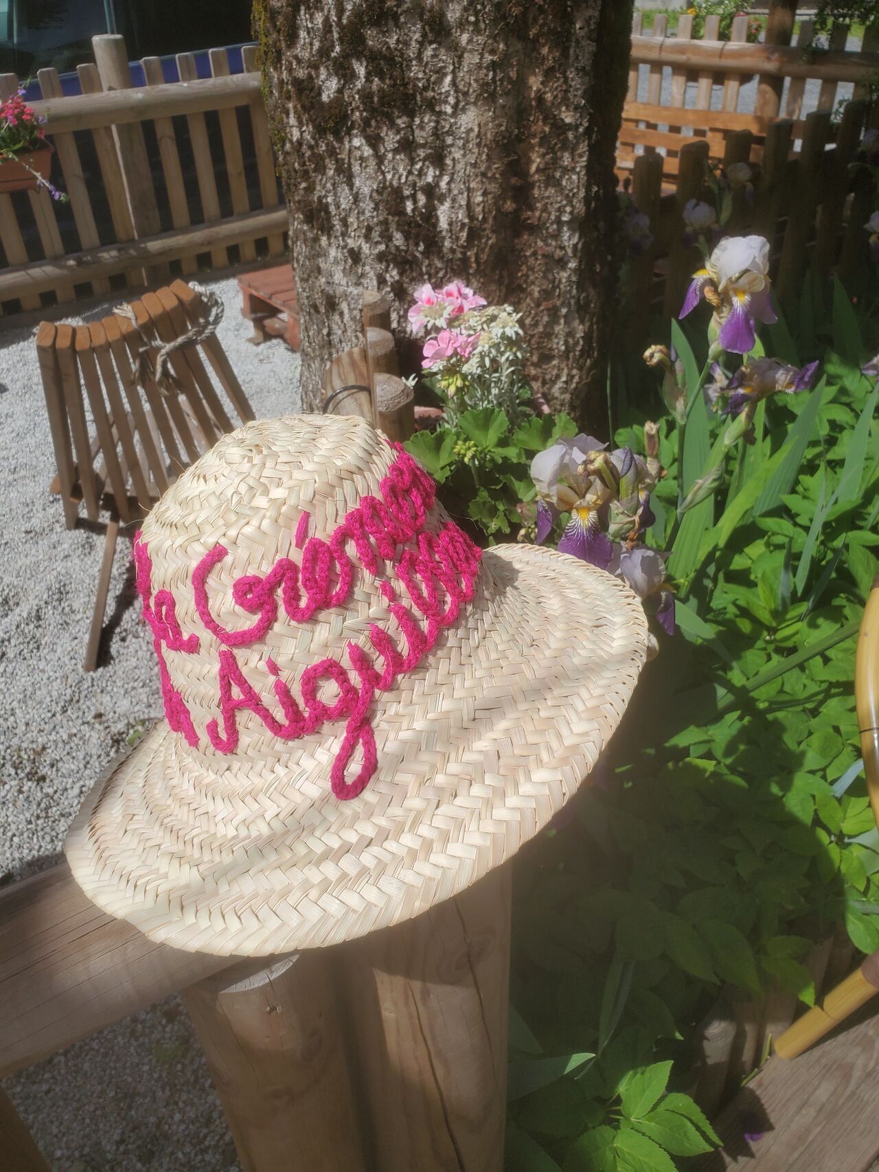 Omble-Chevalier du Lac Leman