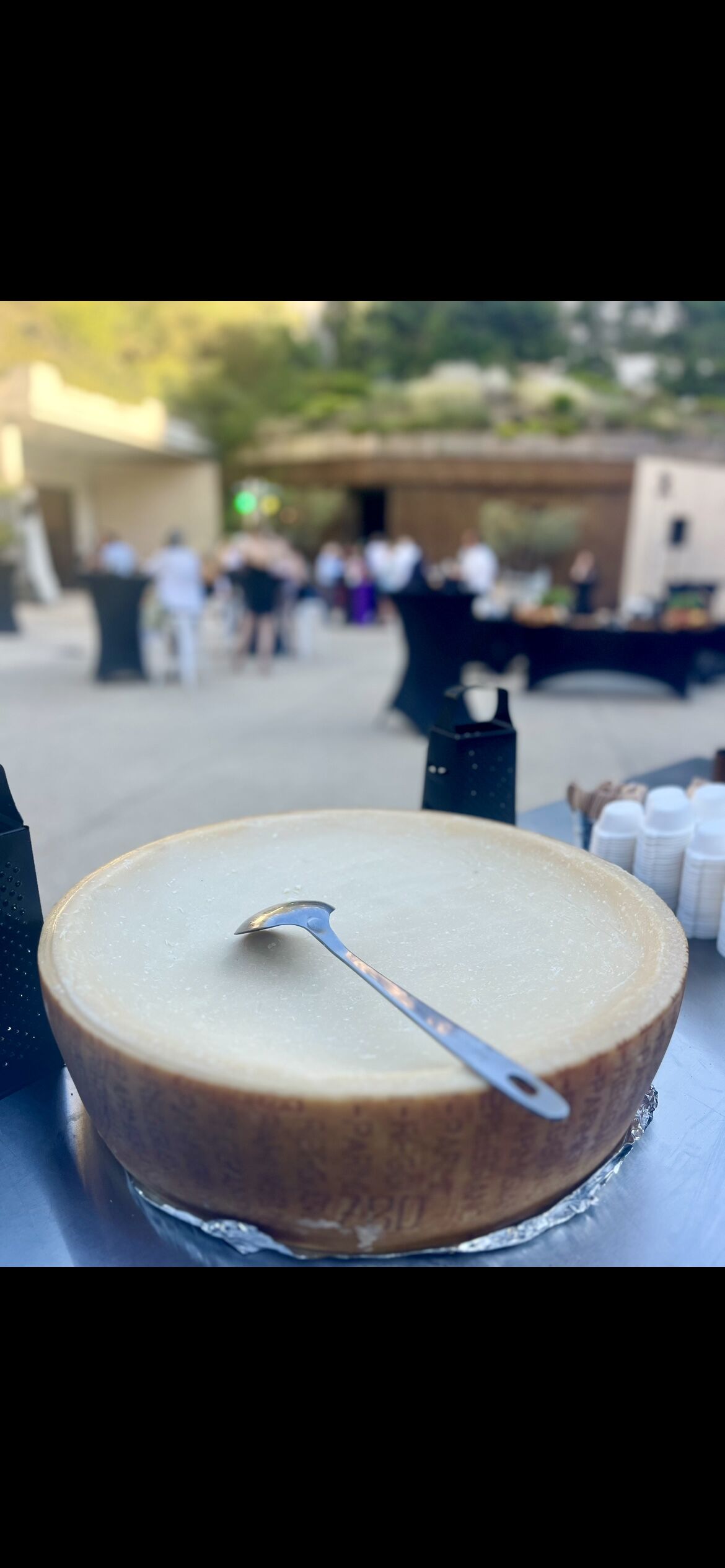 Atelier meule de parmesan